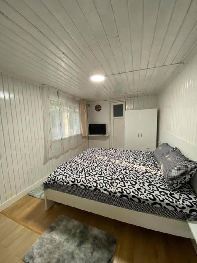 Casa Parvu 호텔 Lunca Mare 외부 사진