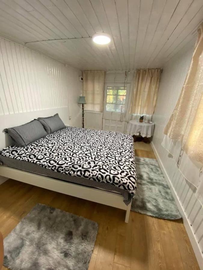 Casa Parvu 호텔 Lunca Mare 외부 사진