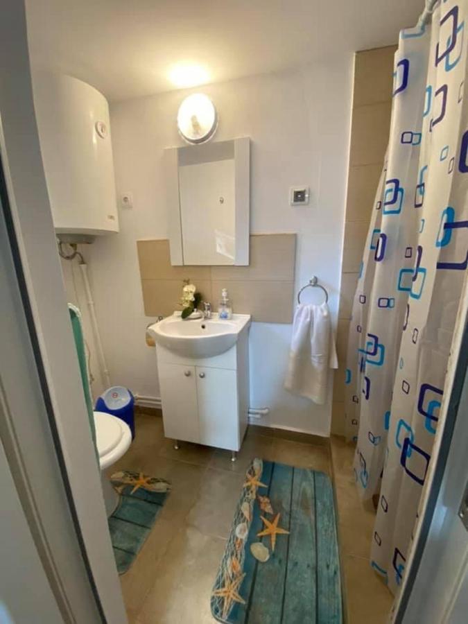 Casa Parvu 호텔 Lunca Mare 외부 사진