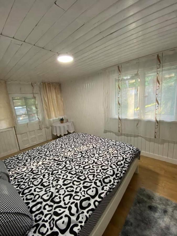 Casa Parvu 호텔 Lunca Mare 외부 사진