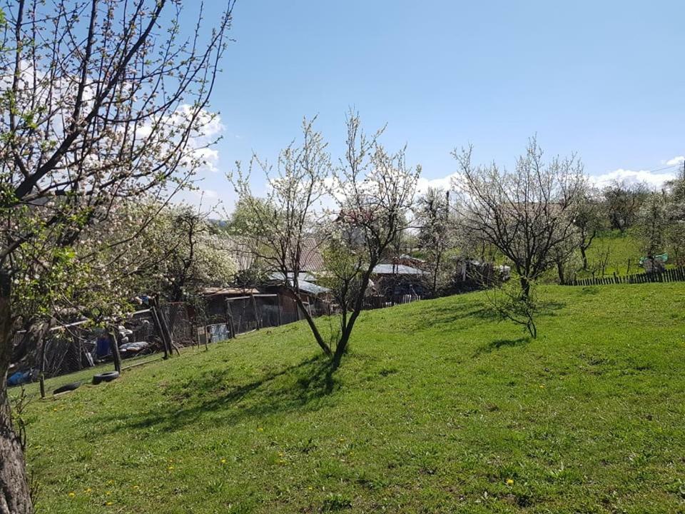 Casa Parvu 호텔 Lunca Mare 외부 사진