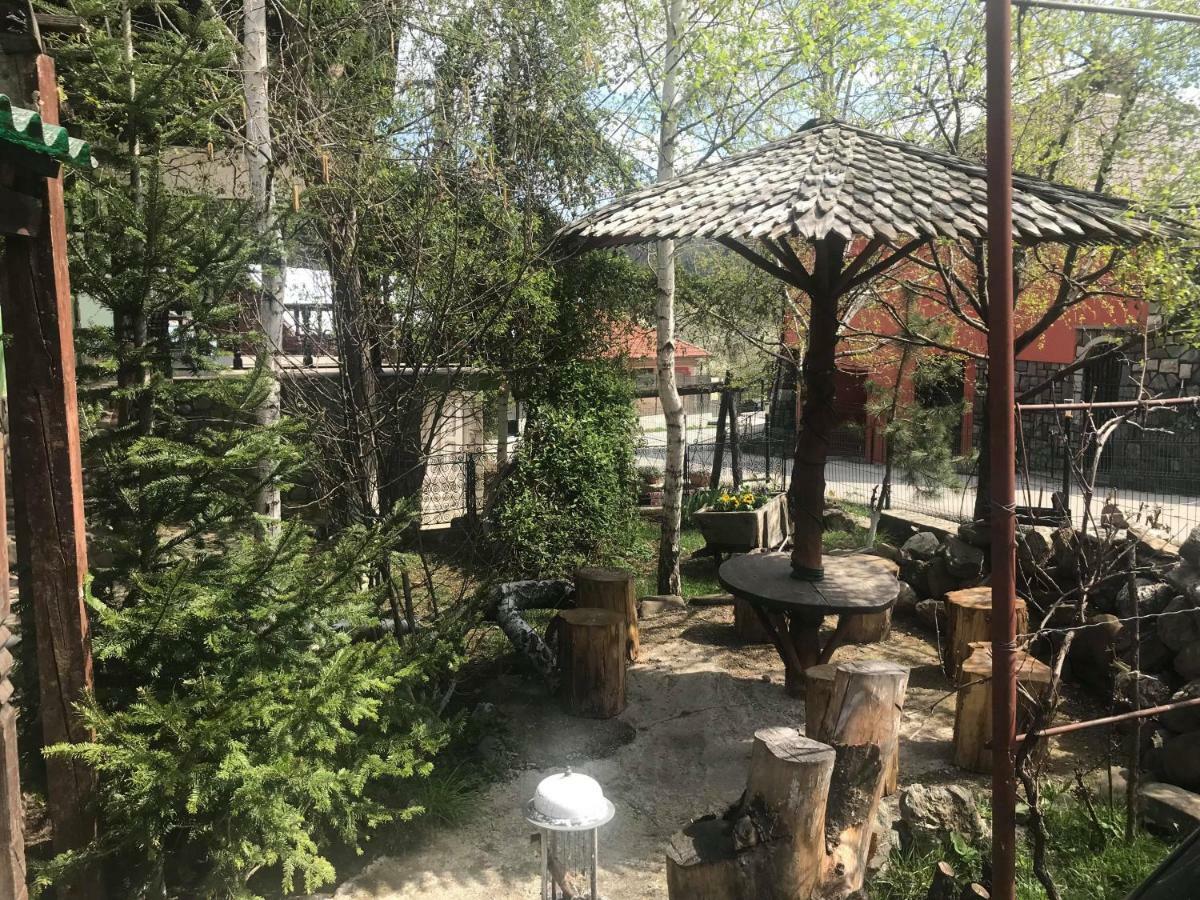 Casa Parvu 호텔 Lunca Mare 외부 사진