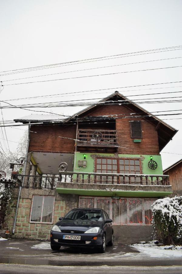 Casa Parvu 호텔 Lunca Mare 외부 사진