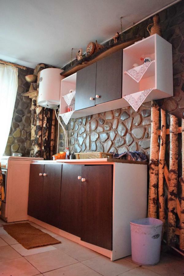 Casa Parvu 호텔 Lunca Mare 외부 사진