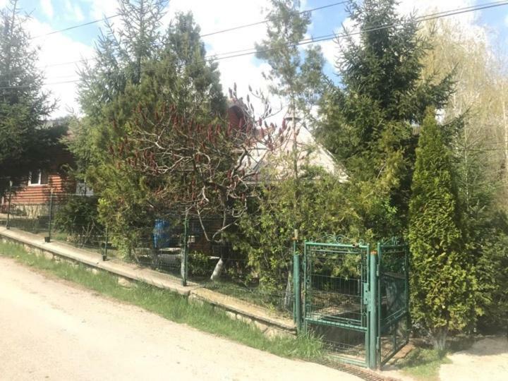 Casa Parvu 호텔 Lunca Mare 외부 사진
